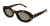 IMG_0169.png