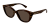 IMG_0370.png