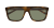 IMG_0965.png