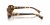 IMG_3293.png