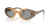 IMG_3307.png