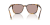 IMG_3314.png
