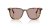 IMG_3316.png
