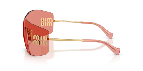 IMG_3491.png