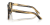IMG_3627.png