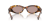 IMG_3667.png