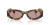 IMG_3668.png