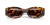 IMG_3669.png