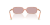 IMG_3334.png