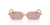 IMG_3335.png