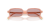 IMG_3336.png