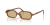 IMG_3675.png