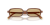 IMG_3680.png