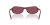 IMG_3694.png