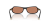 IMG_3699.png