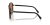 IMG_3682.png