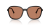 IMG_3685.png