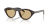 IMG_3523.png
