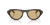 IMG_3526.png