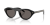 IMG_3528.png