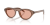 IMG_3518.png
