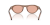 IMG_3520.png