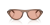 IMG_3521.png